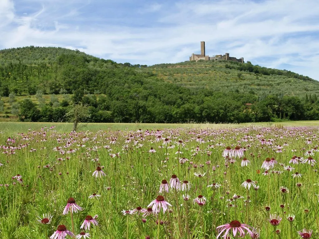 Holiday home Belvilla By Oyo Montecchio Castiglion Fiorentino